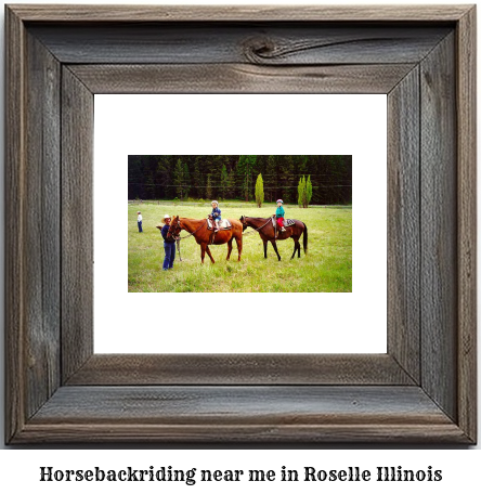 horseback riding near me in Roselle, Illinois